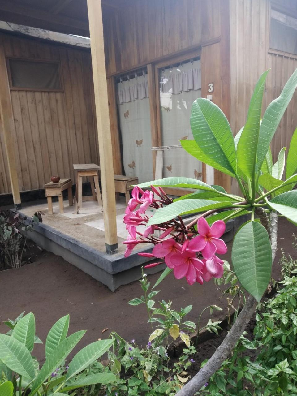 Beach Box Bungalow Gili Trawangan Dış mekan fotoğraf